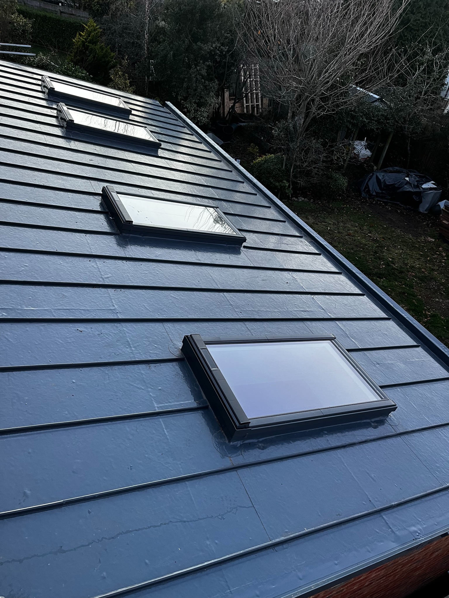 Alwitra single-ply roof with decorative standing seams and rooflights